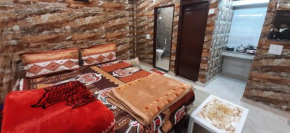 Luxury flat in foreigner areof lajpat nagar with fully equipped kitch